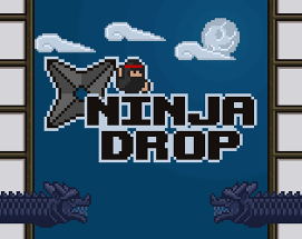 Ninja Drop Image