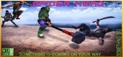 Spider Superhero Rope Swing Image