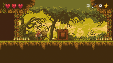 The Adventurer - Action platformer Image