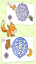 Animal Maze Game  - 3D Classic Labyrinth Image