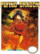 Flying Dragon: The Secret Scroll Image