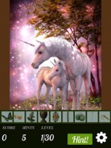 Hidden Object - Unicorns Illustrated Image