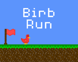 Birb Run Image