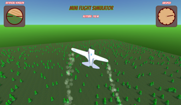 Mini Flight Simulator Image