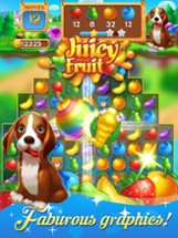 Juicy Fruit-Match 3 jam heroes Image