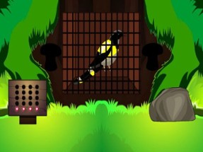 Black Bird Escape Image