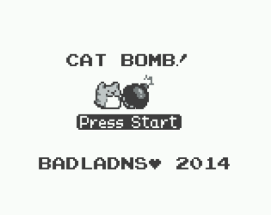 CAT BOMB Image