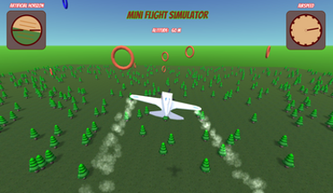 Mini Flight Simulator Image