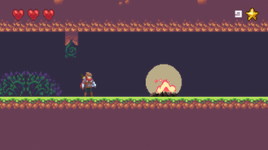 The Adventurer - Action platformer Image