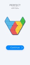 Triangle Tangram Block Puzzle Image