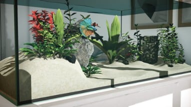 Aquarium Designer Image