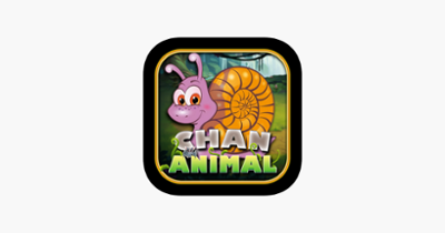 Chan Animal Image