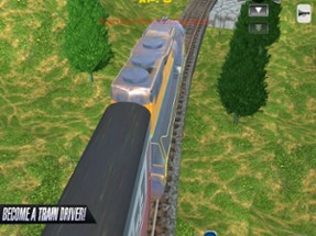 Fast Train Driving Simulator Image