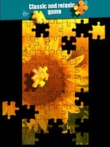 Jigsaw Puzzle. Image