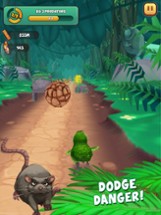 Kakapo Run: Animal Rescue Game Image