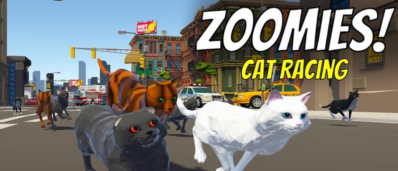 Zoomies! Cat Racing Game Cover