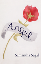 Angel - Novel Image