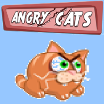 Angry Cats Image