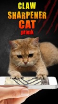 Claw Sharpener Cat Prank Image