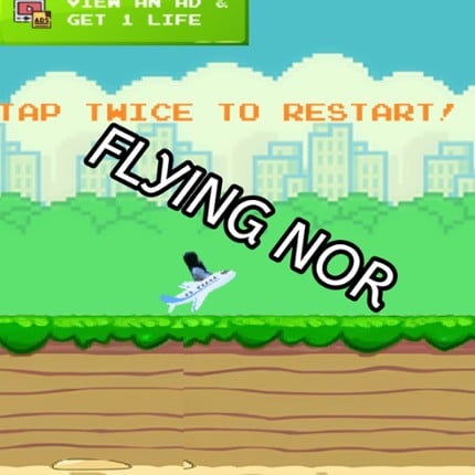 Flying Nor Game Cover