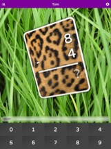 TouchNumbers Flash Cards Image