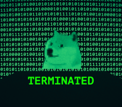 Terminated Image