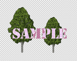 Trees Image