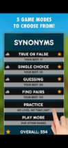 Synonyms Game Image