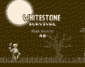 Whitestone: Survival Image