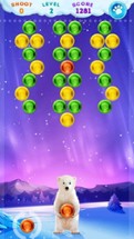 Polar Bear Bubble Shooter Image