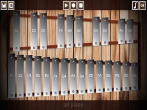 Professional Glockenspiel Image