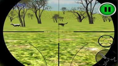 Angry Wolf Attack Sim Image