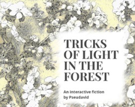 Tricks of light in the forest Image