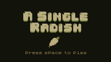 A Single Radish Image