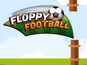 Floppy Football Image