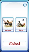 Baby Animals &amp; Birds English ABC Alphabets Flash Cards for preschool kindergarten boys &amp; girls apps Image