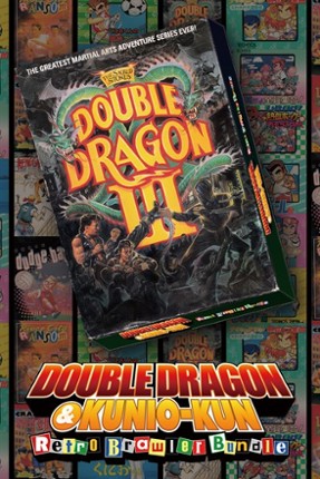 DOUBLE DRAGON Ⅲ: The Sacred Stones Game Cover