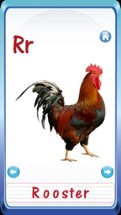 Baby Animals &amp; Birds English ABC Alphabets Flash Cards for preschool kindergarten boys &amp; girls apps Image