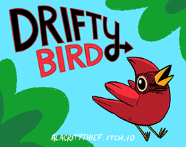 Drifty Bird Image