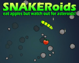 SNAKERoids Image