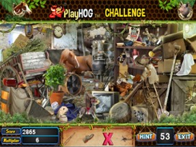 Horse Shoe Hidden Objects Game Image