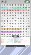 WordSearch - No Frills Image