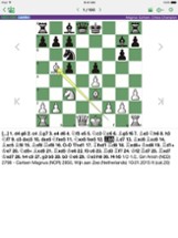 16th World Chess Champion Image