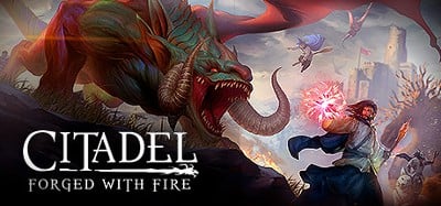 Citadel: Forged with Fire Image