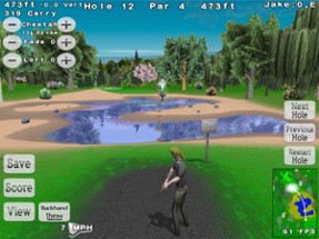 Disc Golf 3D Image