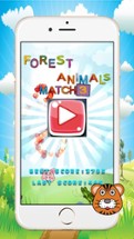 Forest Animals Match3 - matching pictures Image
