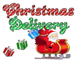 Christmas Delivery Image