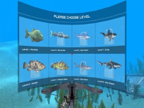 VR Ocean Aquarium 3D Image