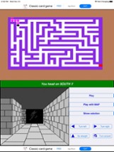Funny 3D Maze - Classic Maze Image