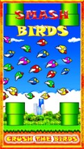 Smash Birds: Fun and Cool for Boys Girls and Kids Image